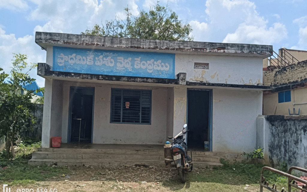 Karepally : రేపటి నుండి సింగ‌రేణి వ్యాప్తంగా పశువులకు గాలికుంటు వ్యాధి నివారణ టీకాలు