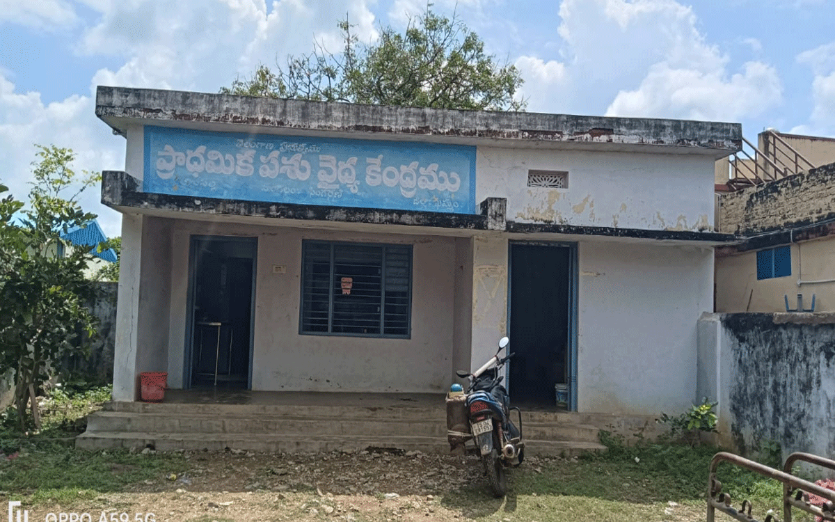 Karepally : రేపటి నుండి సింగ‌రేణి వ్యాప్తంగా పశువులకు గాలికుంటు వ్యాధి నివారణ టీకాలు