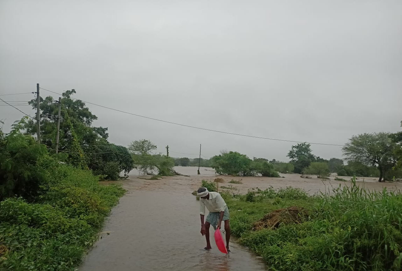 Heavy Rains | సిర్గాపూర్ మండలంలో వరద బీభత్సం.. చెరువుల్లా పంట పొలాలు