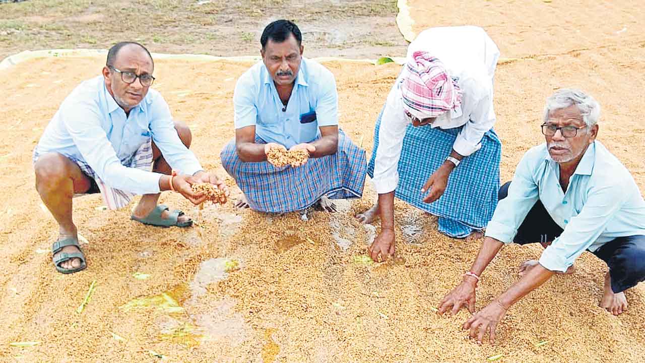 కొనుగోళ్లు మొదలుకాకపాయె..
