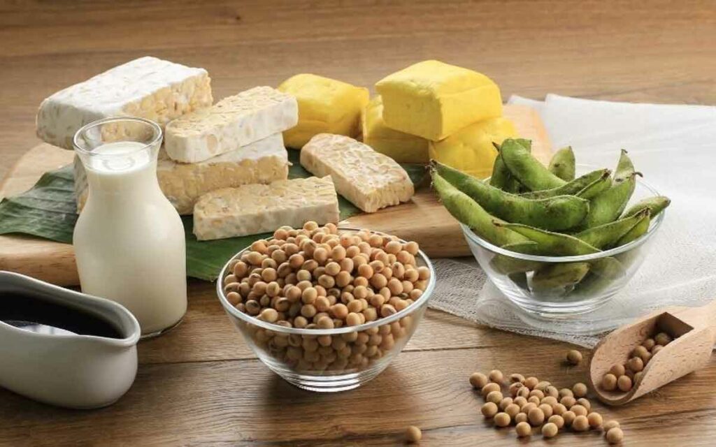 Soya Foods