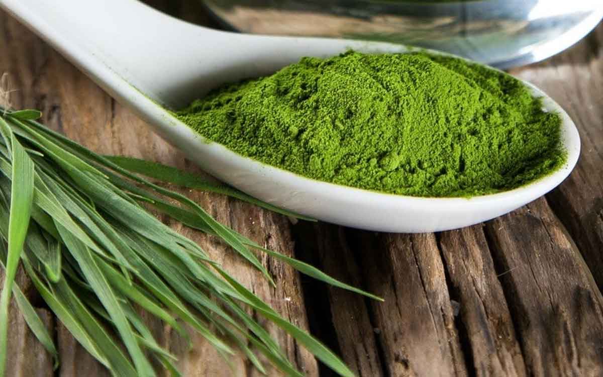 Spirulina | ప్రకృతిలో మనకు లభించే అత్యంత పోషక విలువలు కలిగిన సూపర్ ఫుడ్ ఇది.. రోజూ తీసుకుంటే ఎన్నో లాభాలు..!
