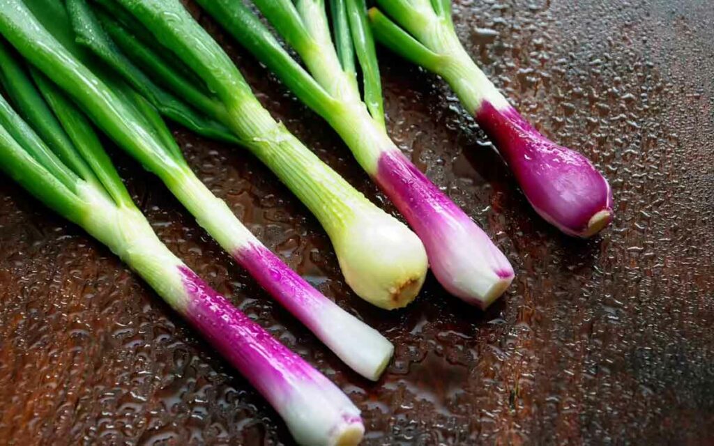 Spring Onions