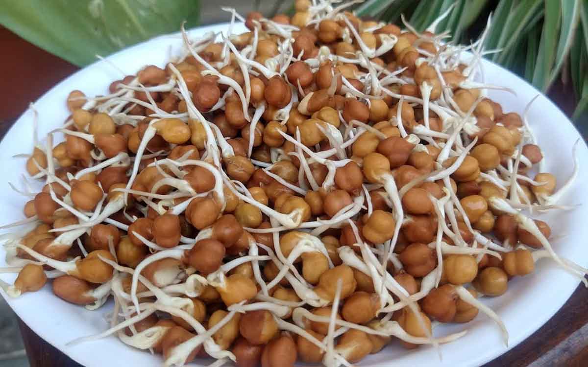 Sprouted Black Chickpeas | న‌ల్ల శ‌న‌గ‌ల‌ను మొల‌కెత్తించి రోజూ తినండి.. ఎన్నో అద్భుత‌మైన లాభాల‌ను పొంద‌వ‌చ్చు..