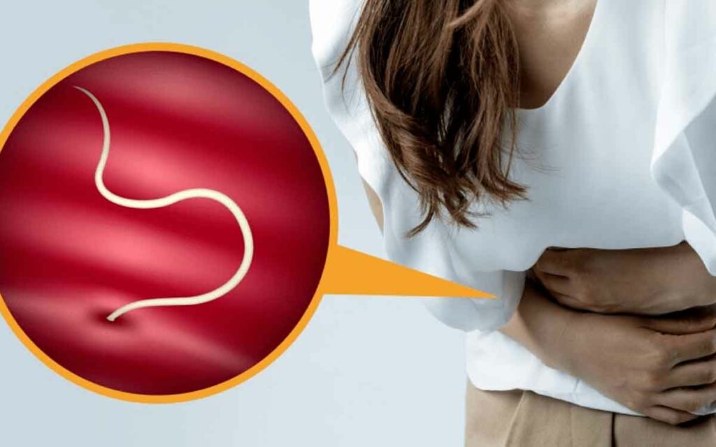 Stomach Worms