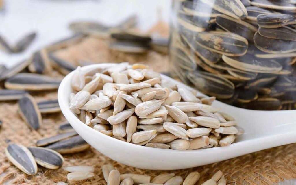 Sunflower Seeds