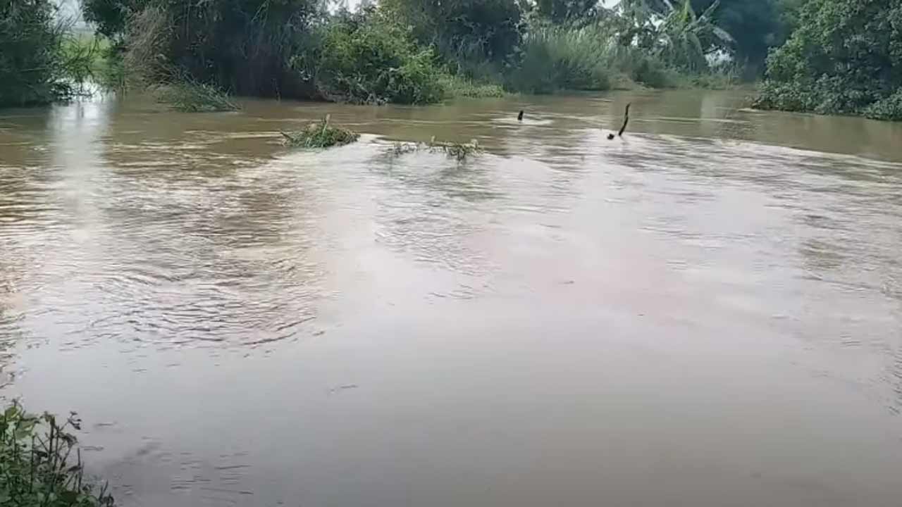 Swarnamukhi River | స్వర్ణముఖి నదిలో నలుగురు గల్లంతు.. ఇద్దరు మృతదేహాలు లభ్యం