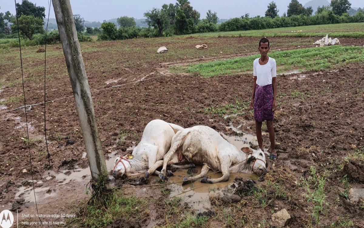 Karepally : విద్యుదాఘాతంతో దుక్కిటెడ్లు మృత్యువాత