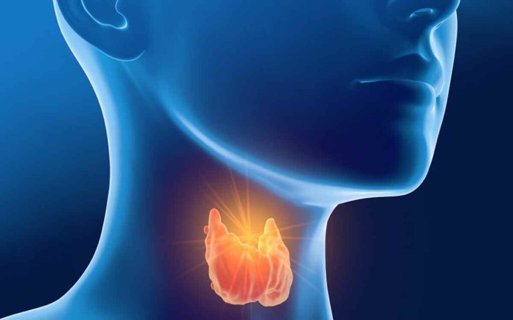 Thyroid