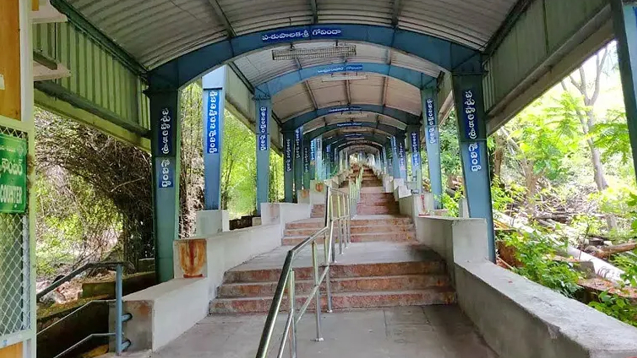 Leopard | శ్రీవారి మెట్టు మార్గంలో చిరుత కలకలం..