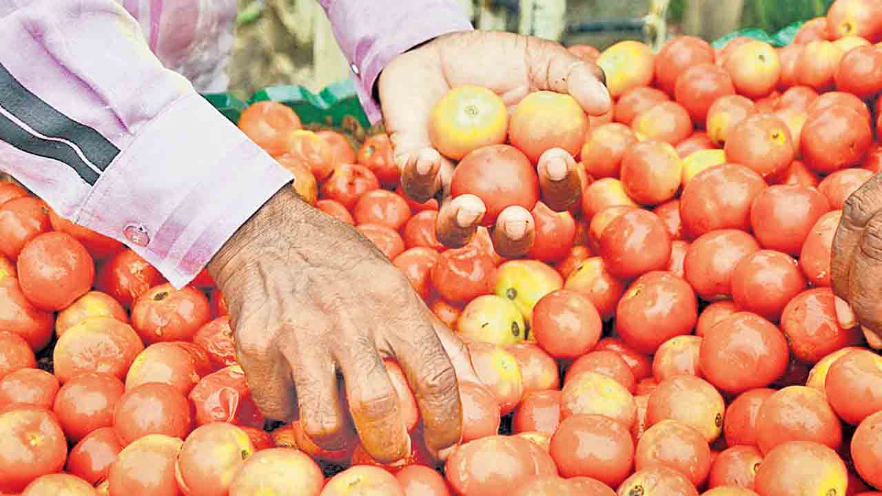 పాక్‌లో కేజీ టమాటా రూ.600.. అఫ్ఘాన్‌ నుంచి నిలిచిన సరఫరా