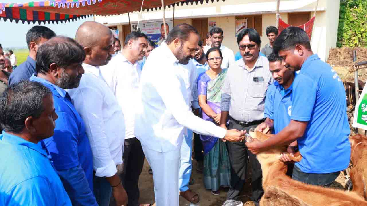 Peddapalli | పశు సంవర్థక శాఖ పనితీరును బలోపేతం చేయండి : ఎమ్మెల్యే విజయరమణారావు