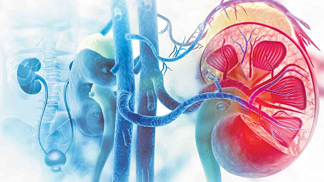 పీడీతో ఊరట.. ఇంట్లోనే స్వయంగా డయాలిసిస్‌