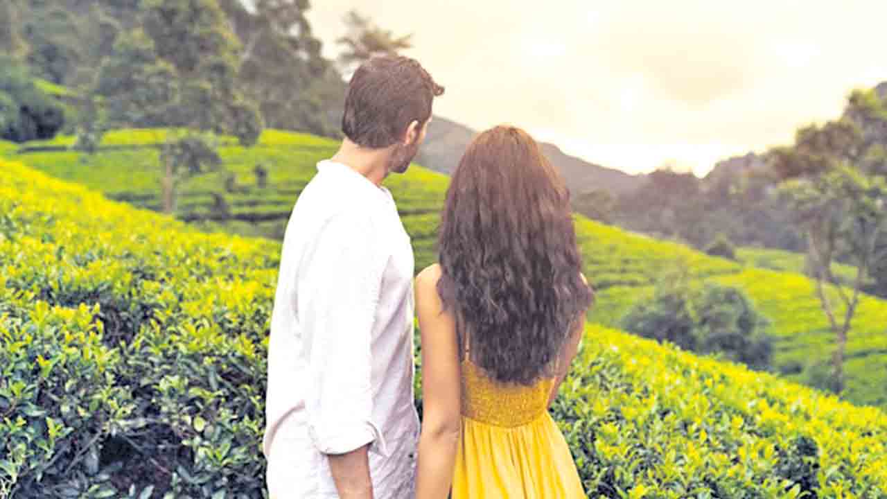 హంగామా లేకుండా హనీమూన్‌!