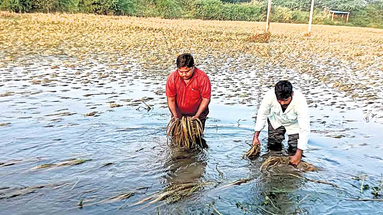 కట్టు కాలువ.. ఆగని కన్నీళ్లు.. ఇటీవలి వర్షాలకు వెన్కేపల్లి తుమ్మల చెరువుకు భారీ వరద