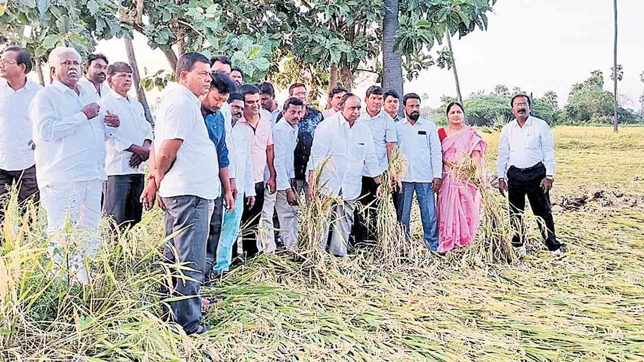 ఎకరాకు 25వేల పరిహారం చెల్లించాలి