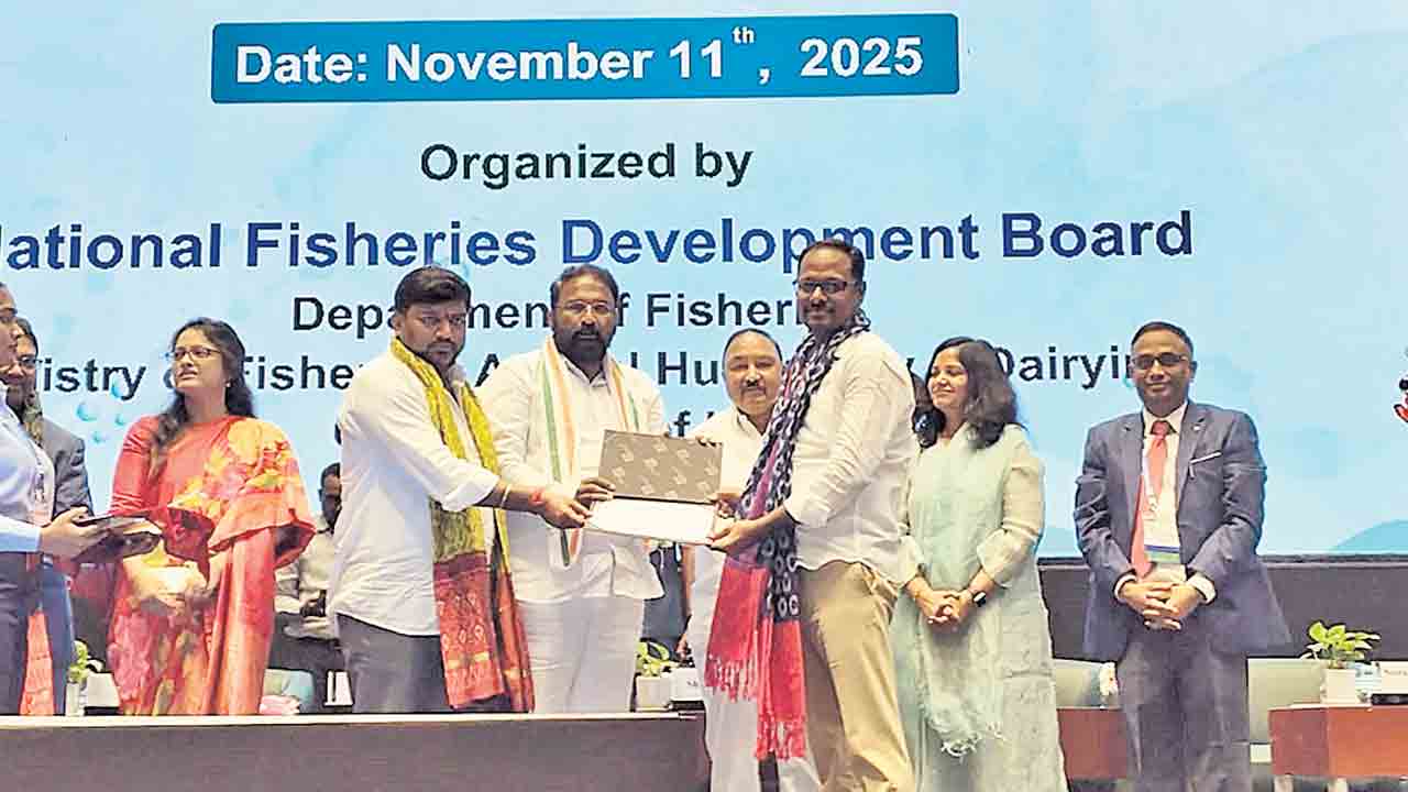 మధ్యాహ్న భోజనంలో ఆహారంగా చేపలు!