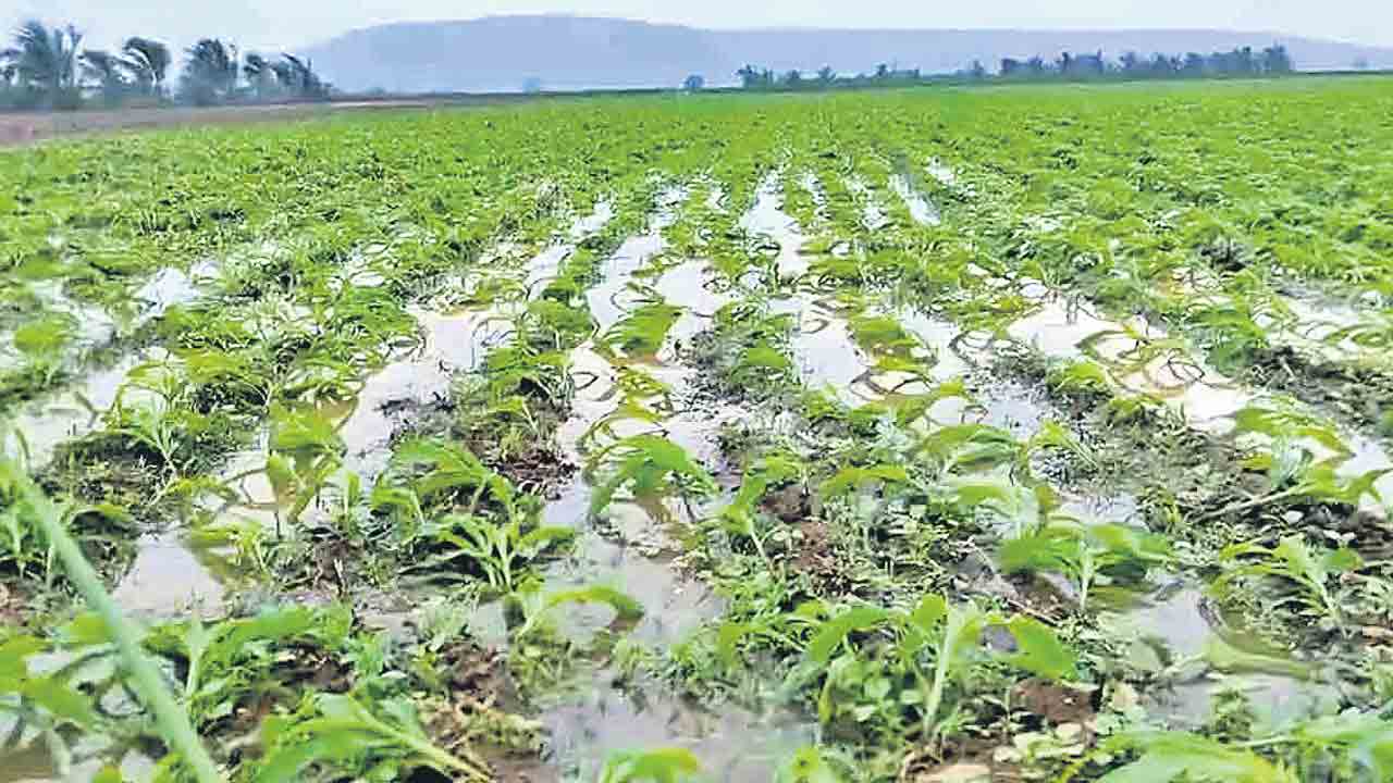 మొంథా బాధితులకు మొక్కుబడి సాయం.. 12.99 కోట్లే విడుదల చేసిన ప్రభుత్వం