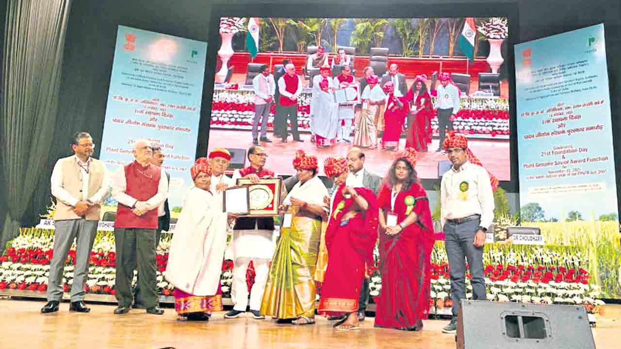 విత్తనం వాళ్లదే.. అవార్డూ వాళ్లకే!