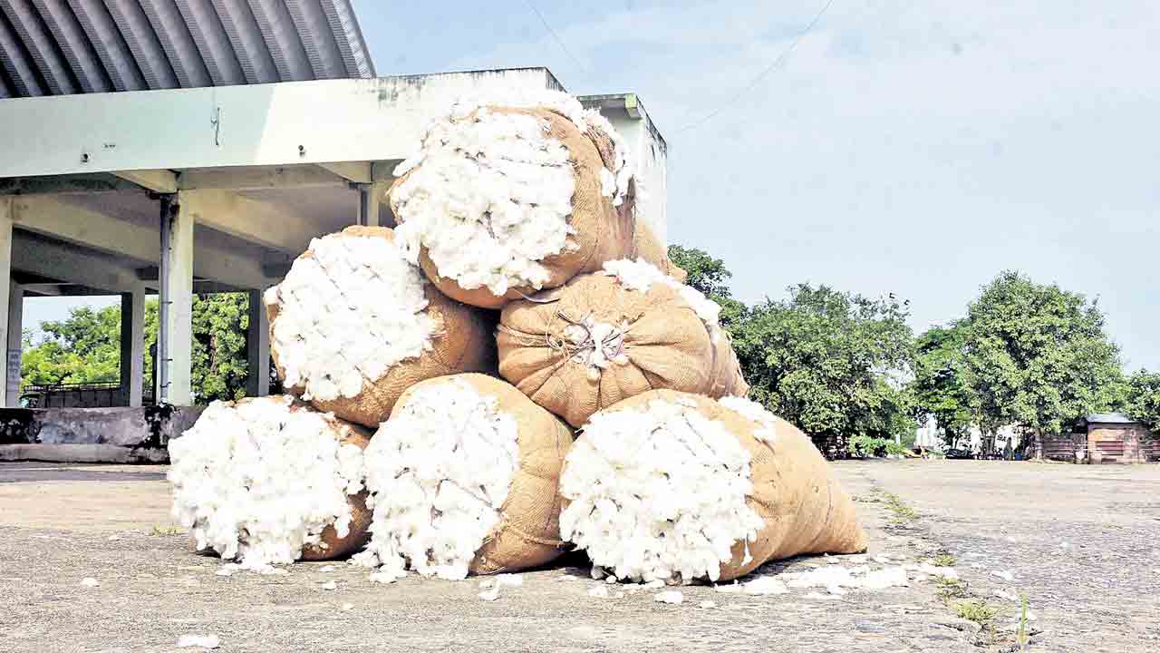 17 నుంచి పత్తి కొనుగోళ్లు బంద్‌