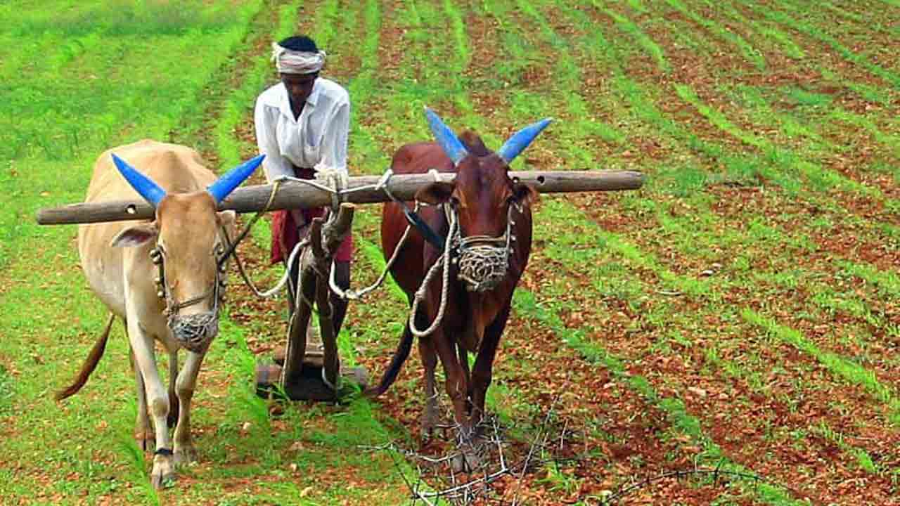 రైతురత్న అవార్డులకు దరఖాస్తులు ఆహ్వానం