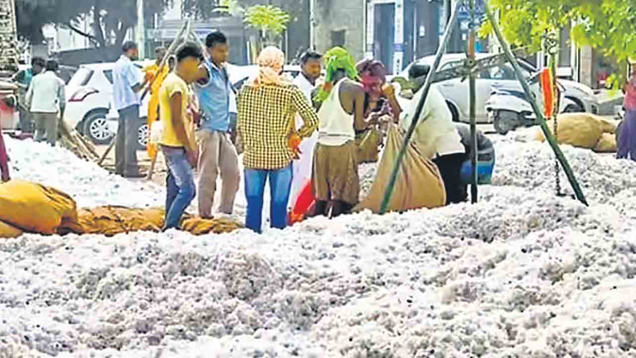 ఎల్లుండి నుంచి పత్తి కొనుగోళ్లు బంద్‌
