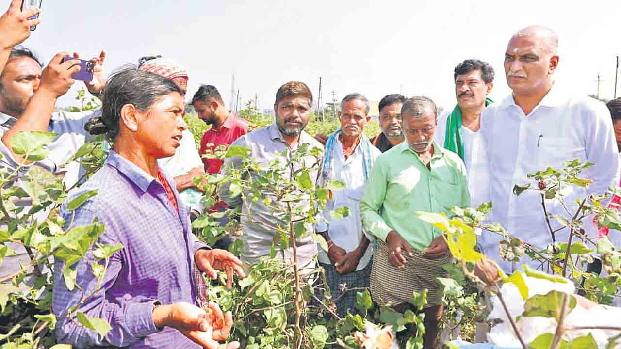రేవంత్‌ వచ్చిండు.. చిప్ప చేతికిచ్చిండు