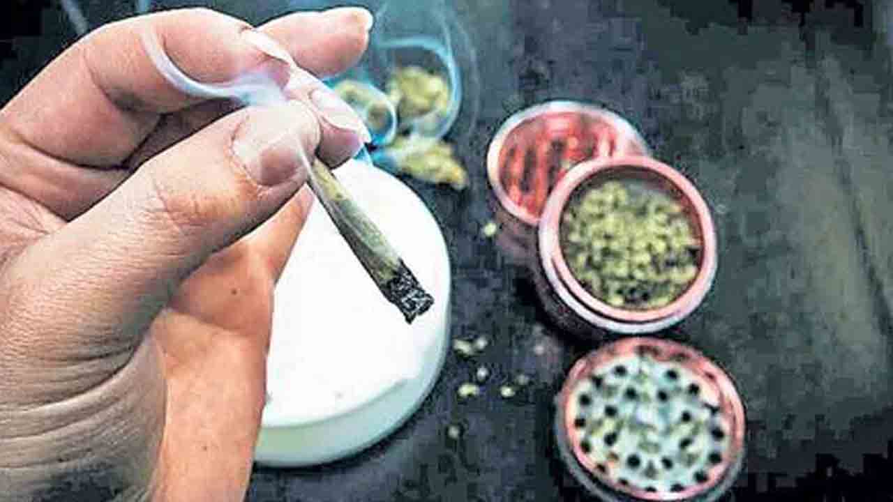 ఎంజాయ్‌ పేరుతో గంజాయ్‌ వద్దు