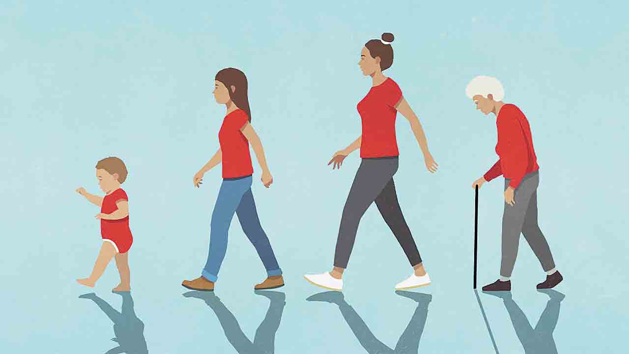 మెదడు ఎదుగుదలలో ఐదు దశలు!