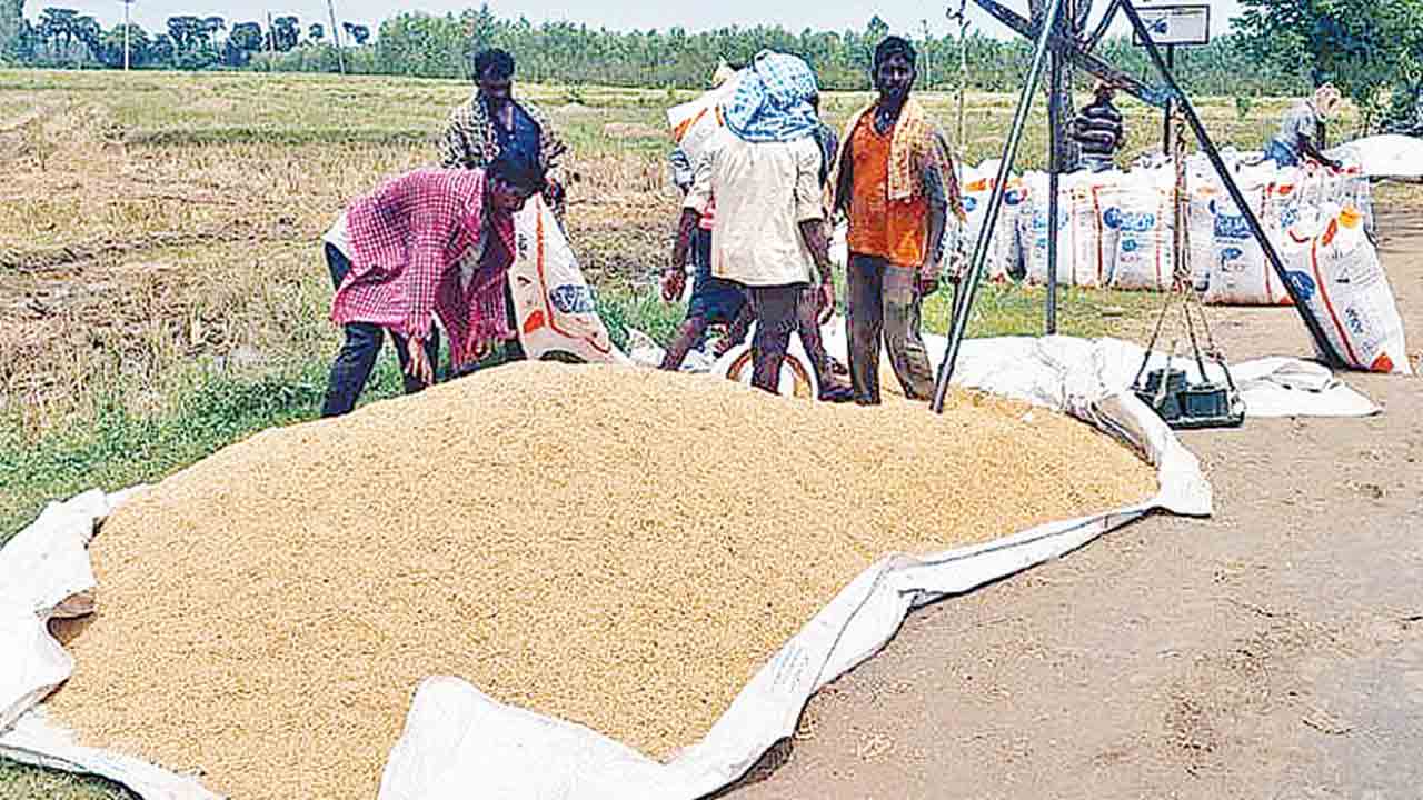 ఎన్నికల విధుల్లో ఏఈవోలు.. కష్టాల్లో రైతులు.. పంటల కొనుగోళ్ల సమయంలో అవస్థలు