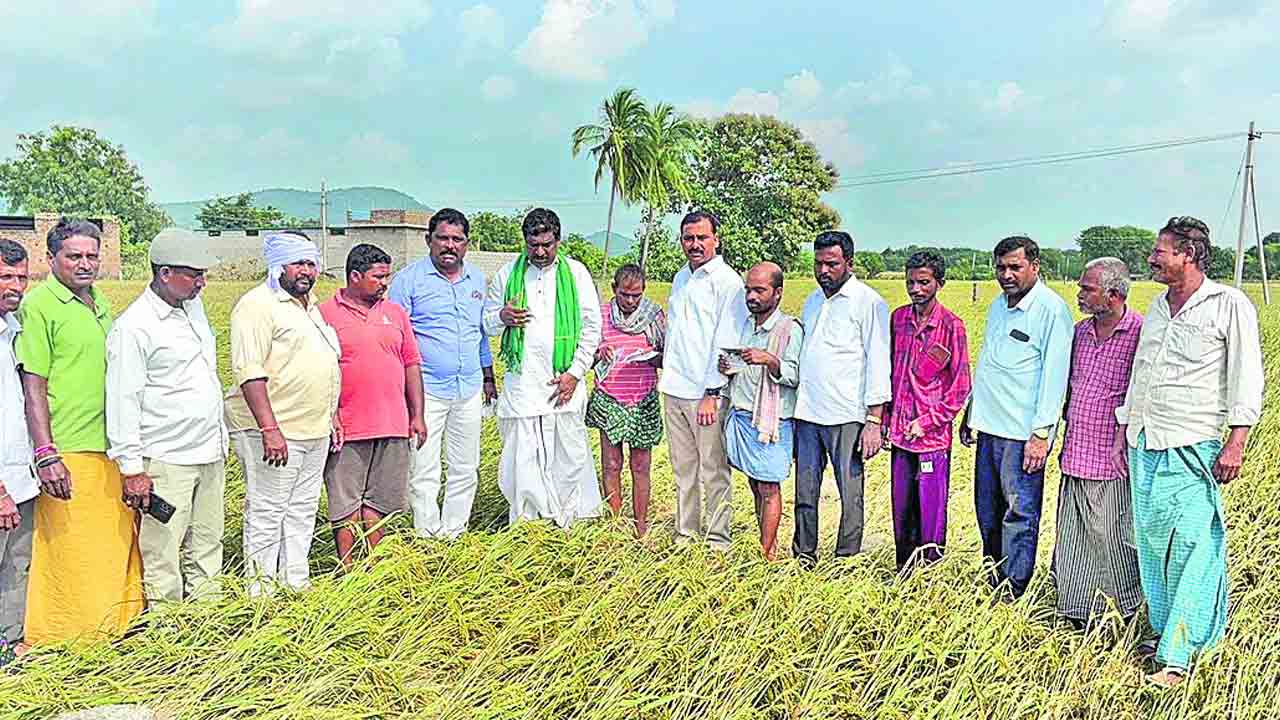 రైతులను ప్రభుత్వం ఆదుకోవాలి