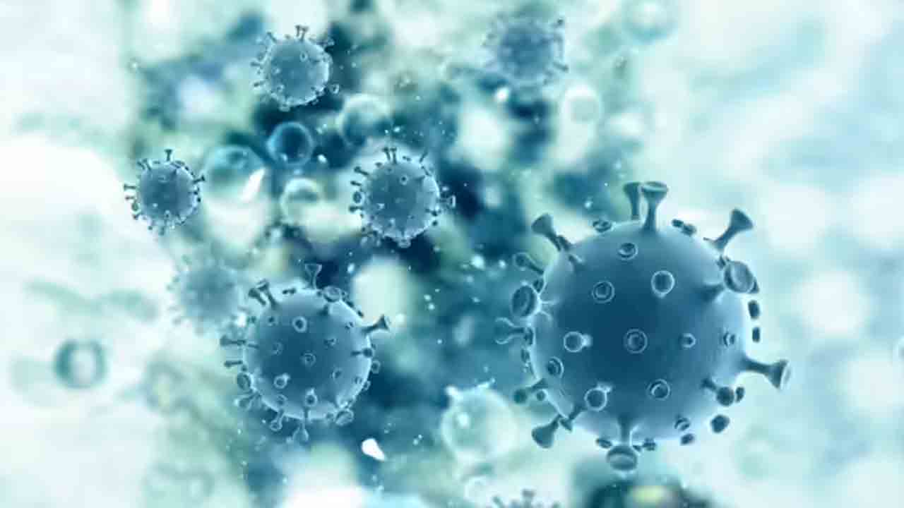 కొత్త మహమ్మారి బీఆర్‌జెడ్‌ బాట్‌కొవ్‌?