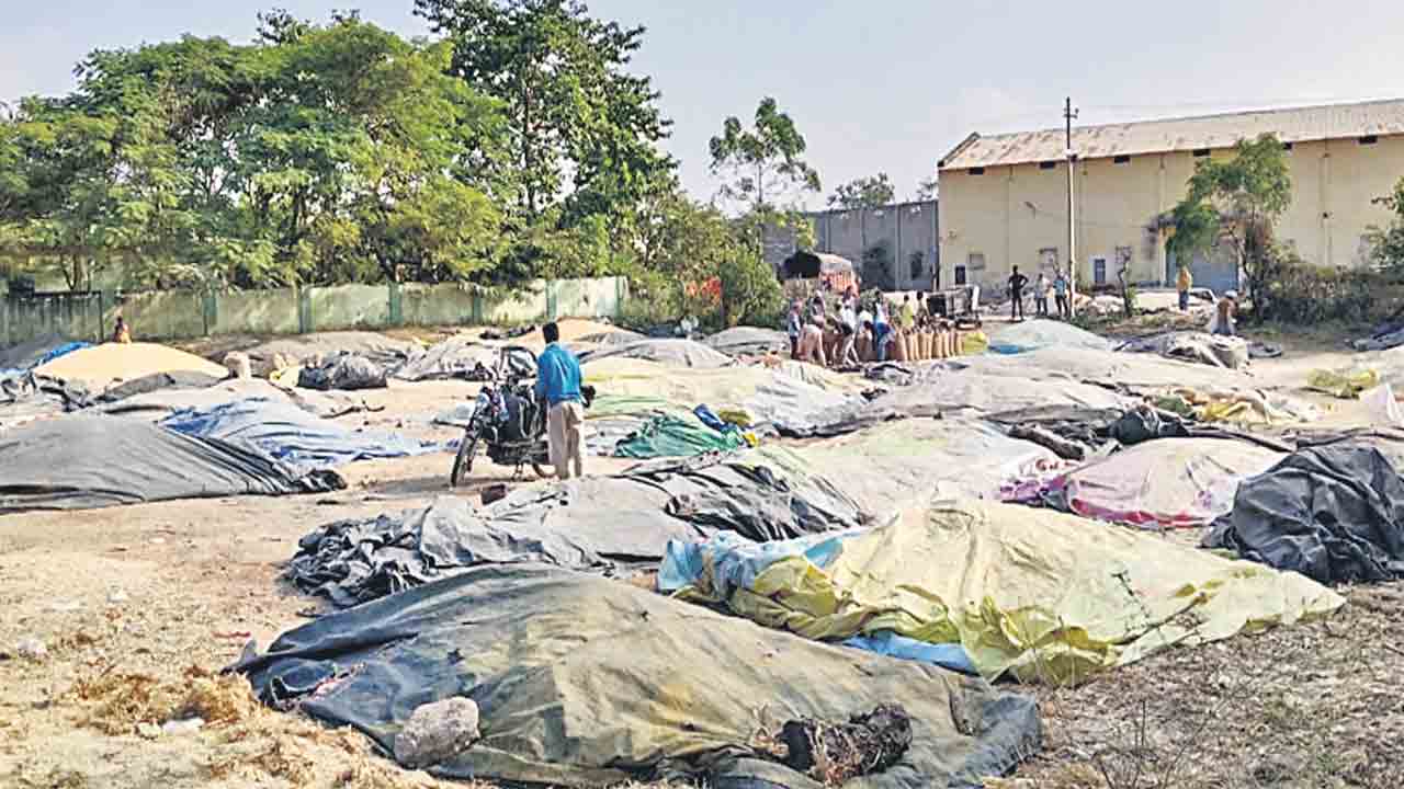 మక్క రైతుకు ఎంత గోస