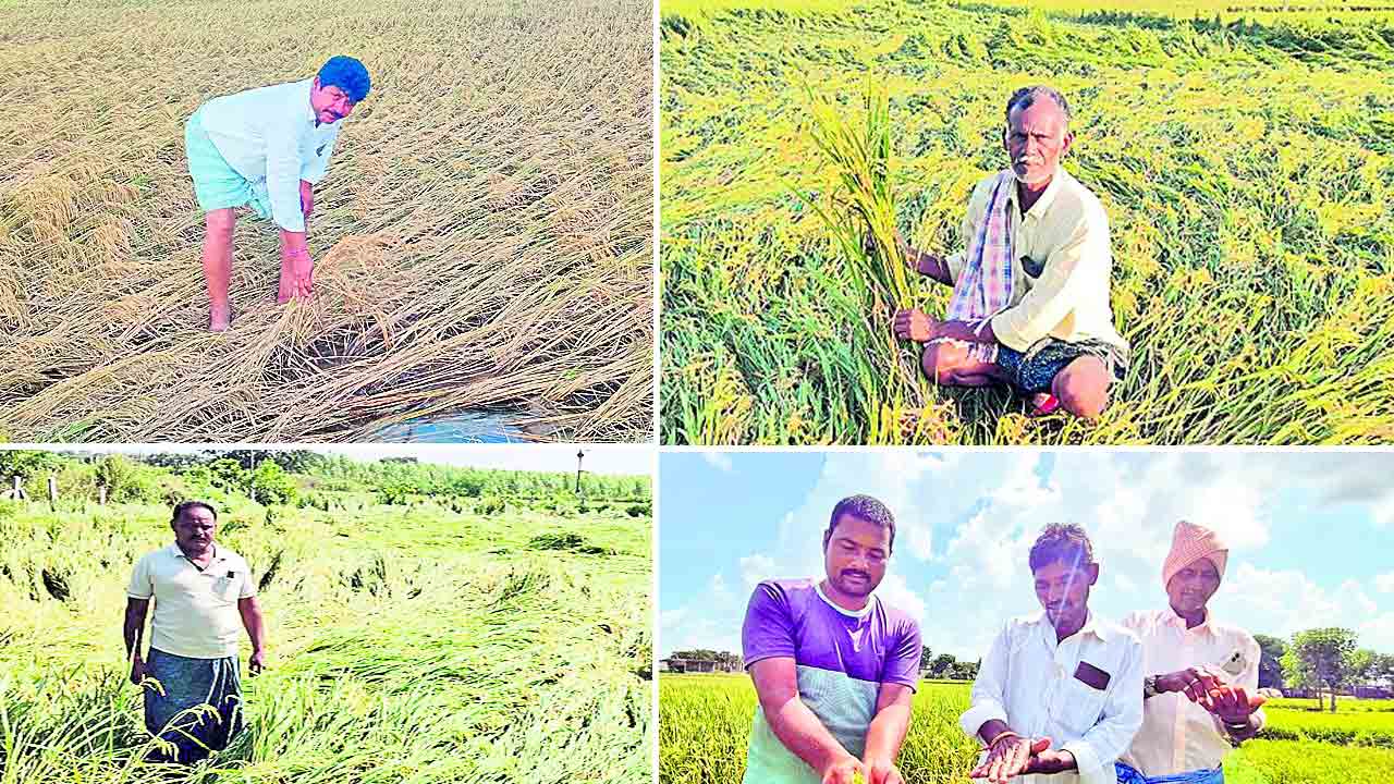 నిండా ముంచిన మొంథా తుపాన్‌