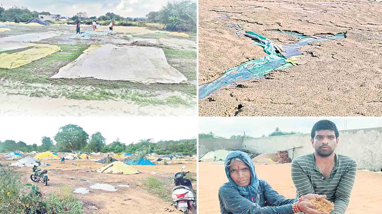 వెంటాడుతున్న వర్షం