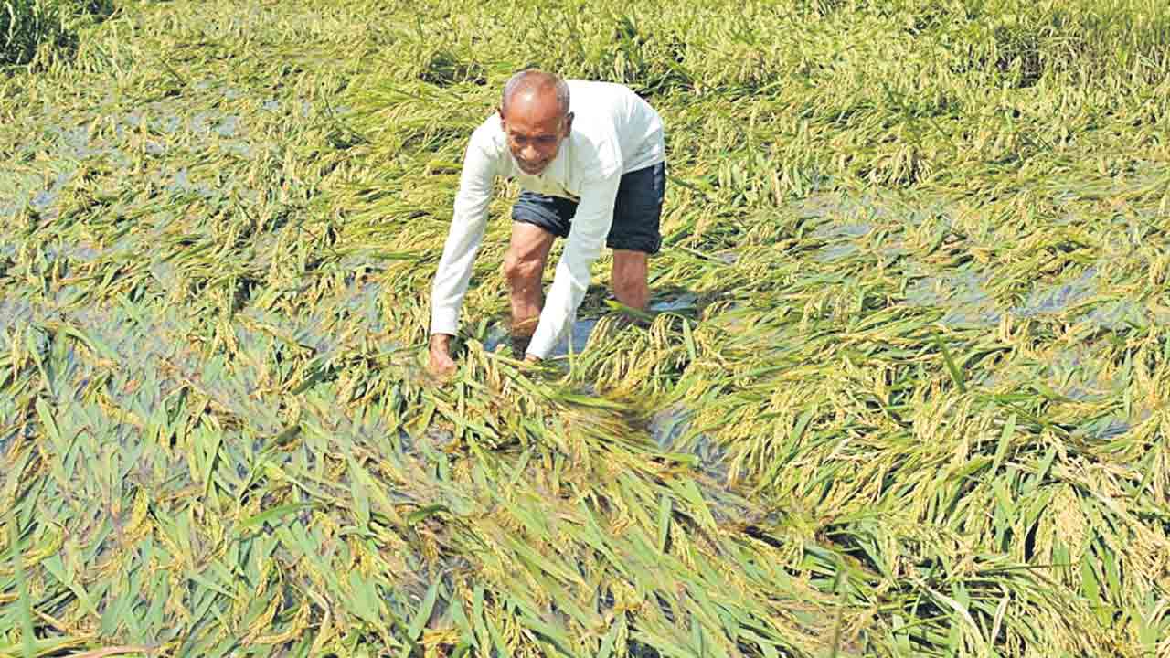 తక్షణ సాయానికి నిరీక్షణే!