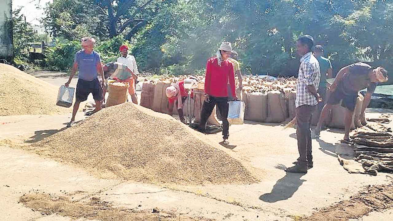 వడ్ల కొనుగోళ్లు ప్రారంభం