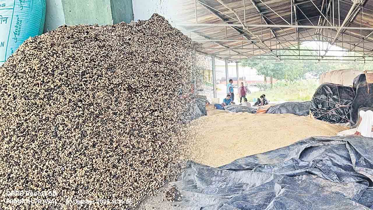 సోయాపై సోయిలేని సర్యారు