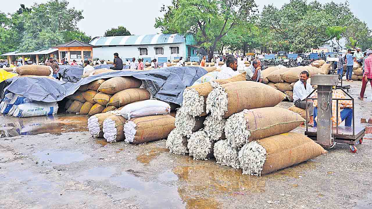 దూది రైతు దుఃఖం