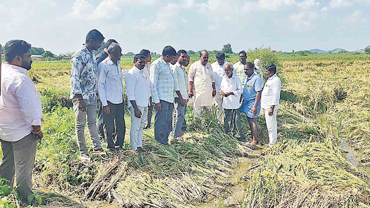 రైతు కన్నీరు తుడవని సర్కారెందుకు?