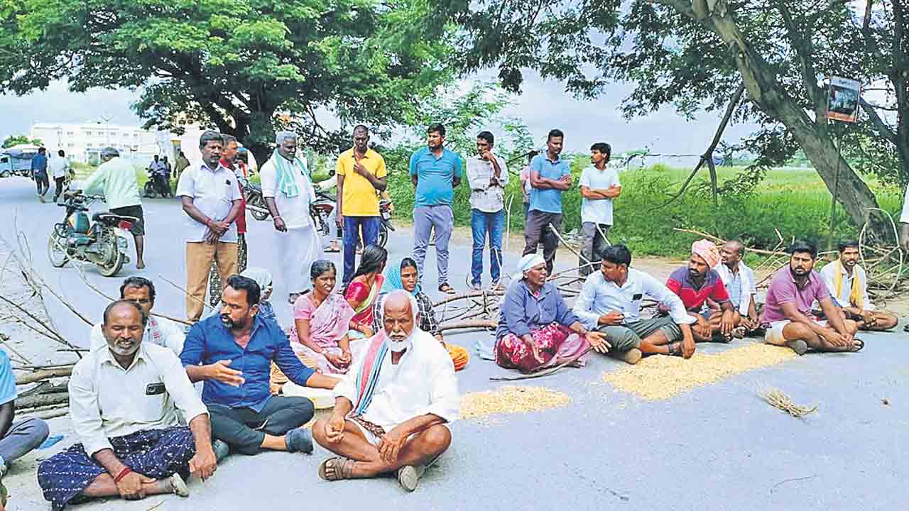 మక్కలకు కోత.. రైతుకు వాత