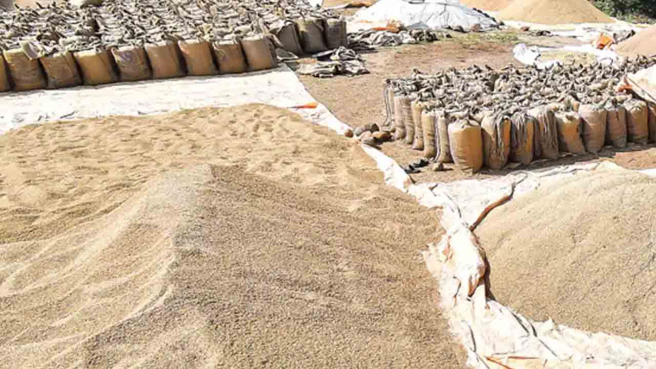 ధాన్యం స్కాంలో 13 మంది అరెస్ట్‌