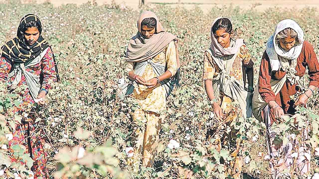 పత్తి రైతు మెడకు సీసీఐ కొత్త ఉరి