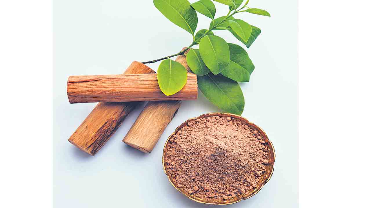 అందానికి గంధం!