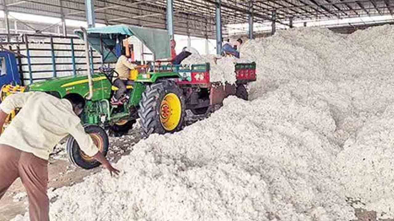 పత్తి రైతుపై కత్తి