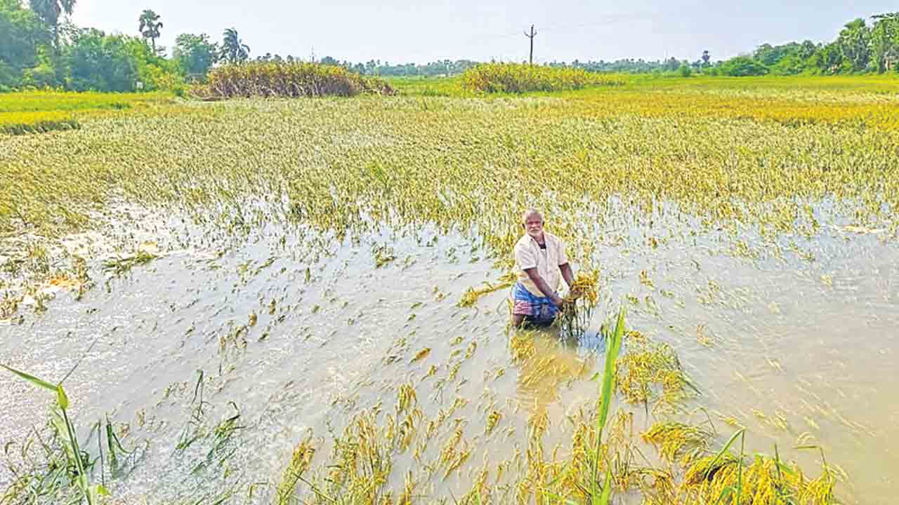పంట నష్టం..ప్రకటనలకే పరిమితం