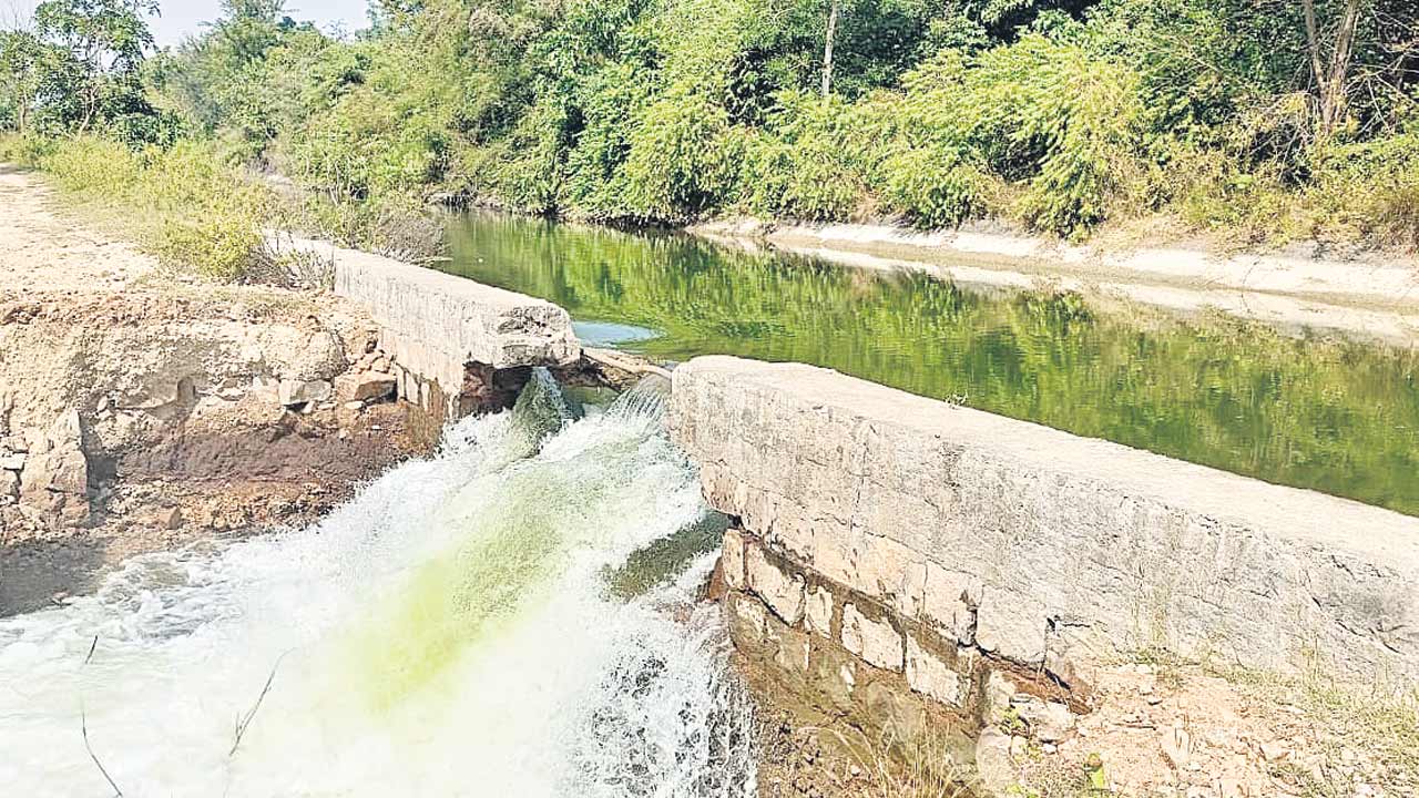 పంటలు నీటి పాలు