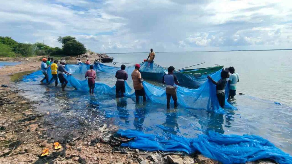 Andhra Fishermens