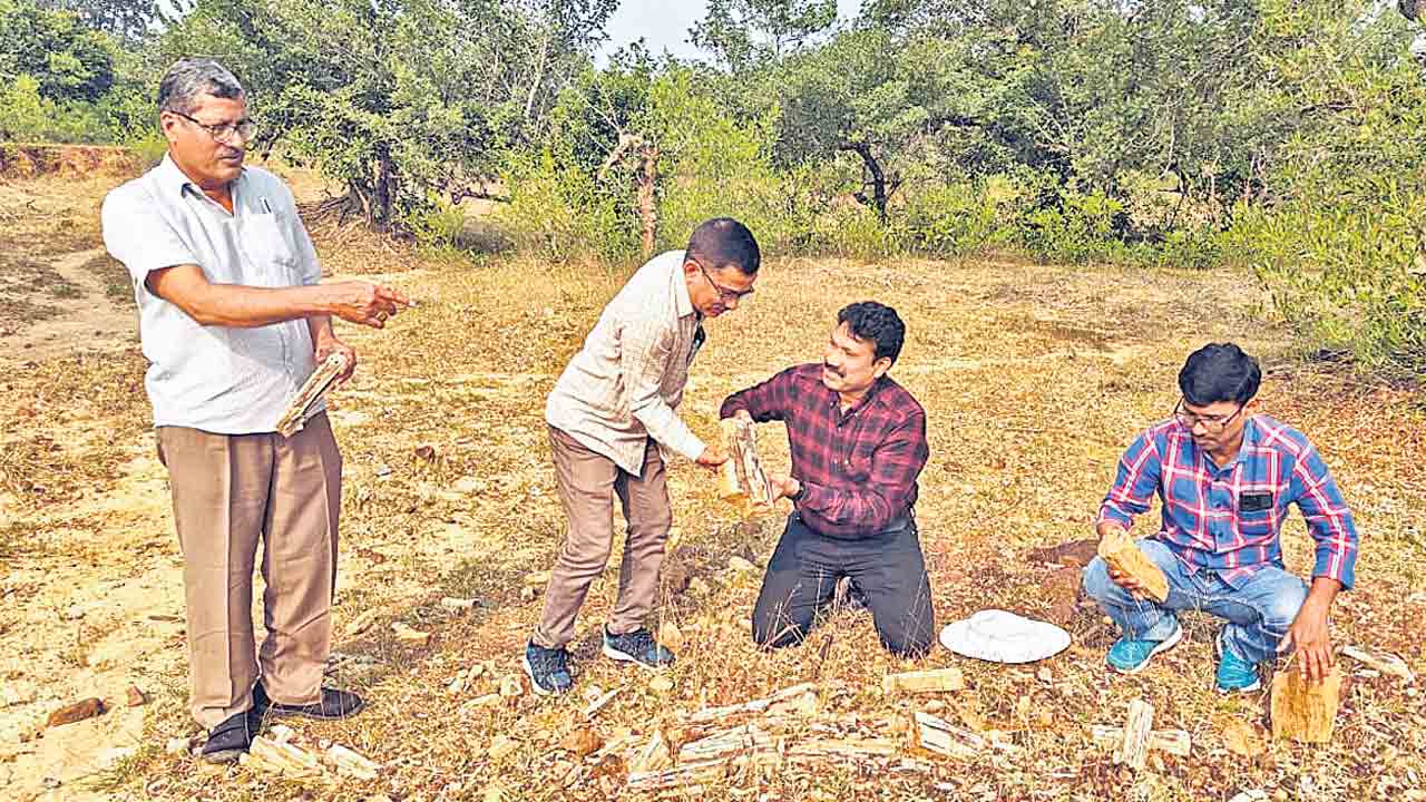 బొప్పారం అడవుల్లో అరుదైన శిలాజాలు.. గుర్తించిన పురావస్తు శాఖ బృందం