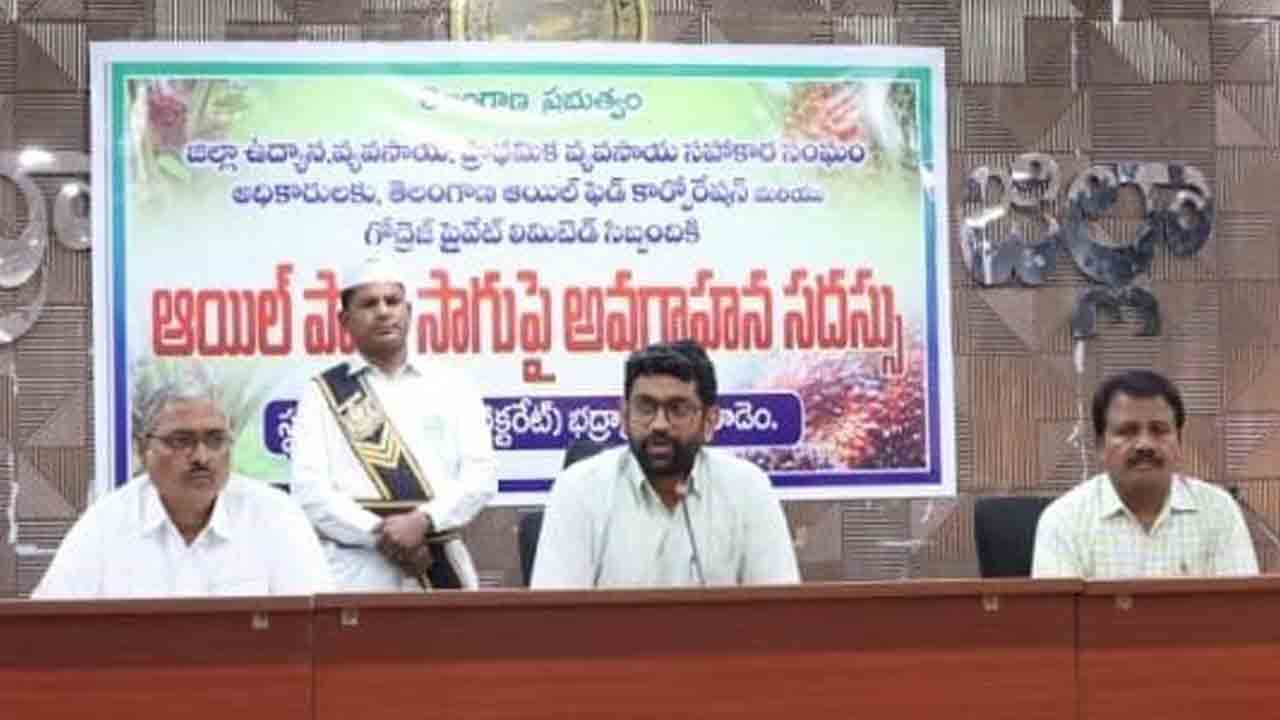ఆయిల్‌పామ్‌ సాగుపై దృష్టి పెట్టండి
